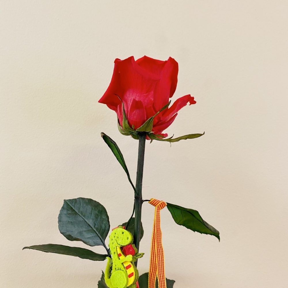 Rosa eterna preservada Sant Jordi